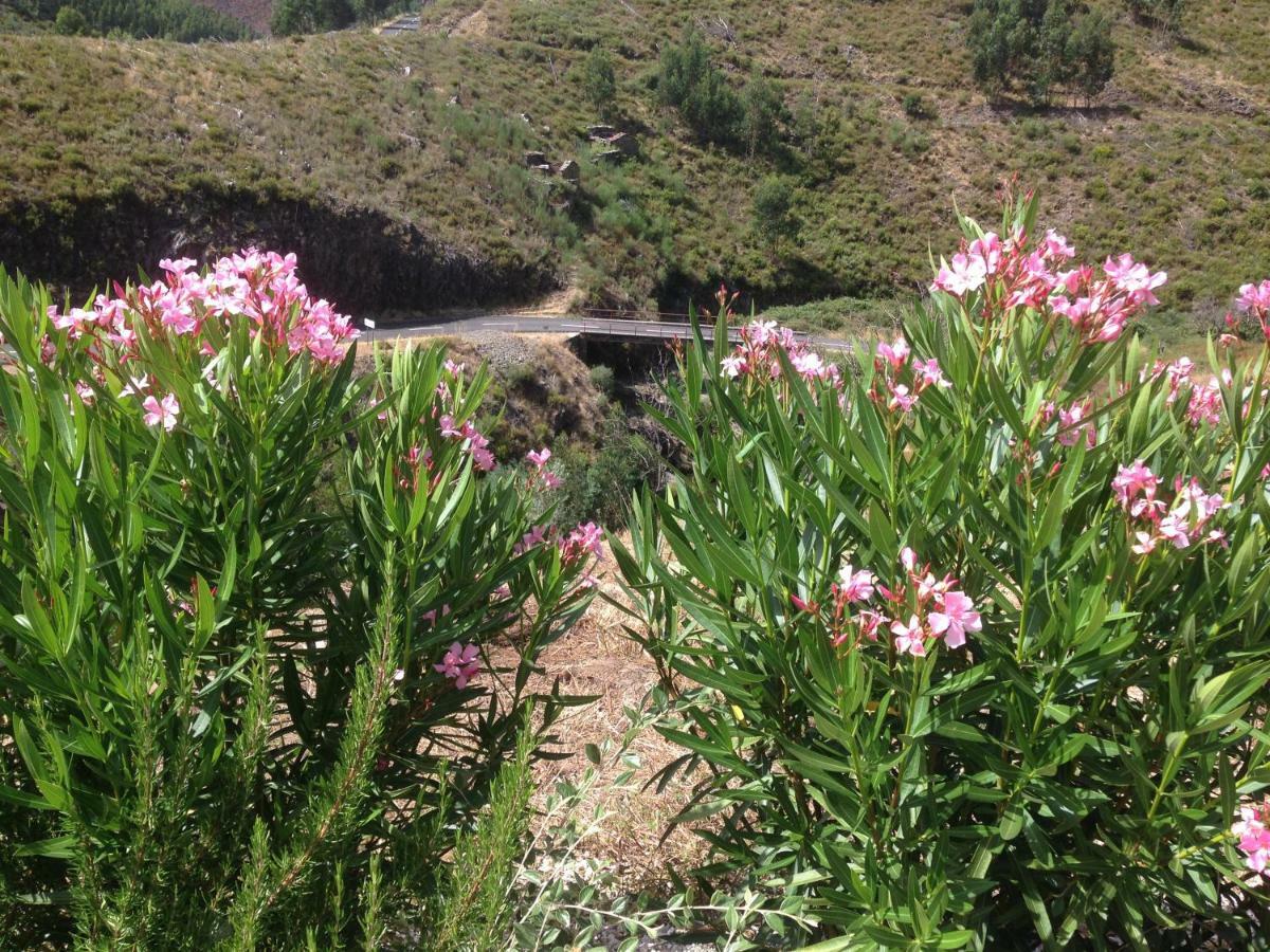 منزل الضيف Cha de Alvares  في Casas Do Sinhel المظهر الخارجي الصورة